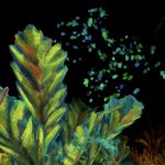 Anbefaling af udstilling