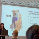 EMDR uddannelse